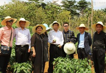 江西省政府代表團考察中國援赤道幾內亞示范農(nóng)場